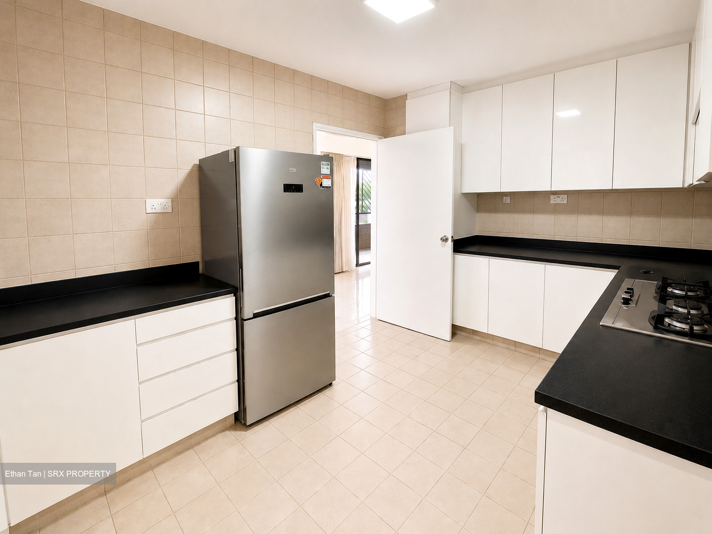 The Cairnhill (D9), Condominium #578507821